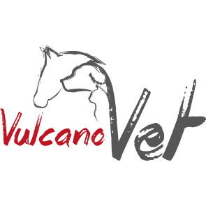 VulcanoVet