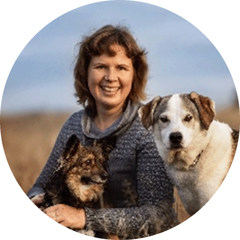 person, hund, außenbereich, lächeln, schal