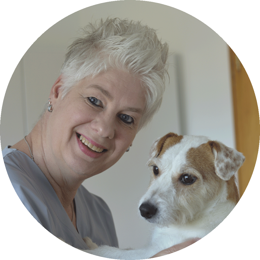 Frauenpflege, Hund, Jack Russel Terrier, Haustier, Seniorin