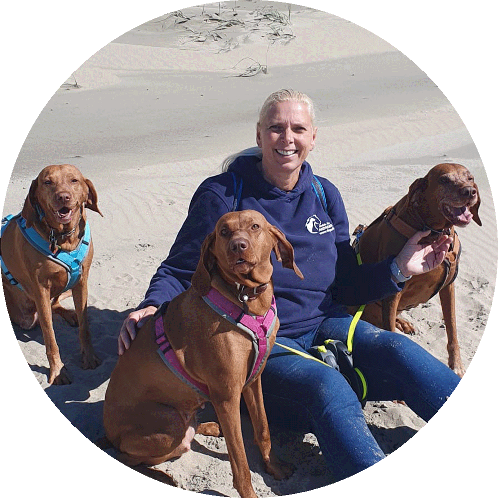 Hundehalsband, Hundeoutfit, Hunde, Sand, Person mit Hunden