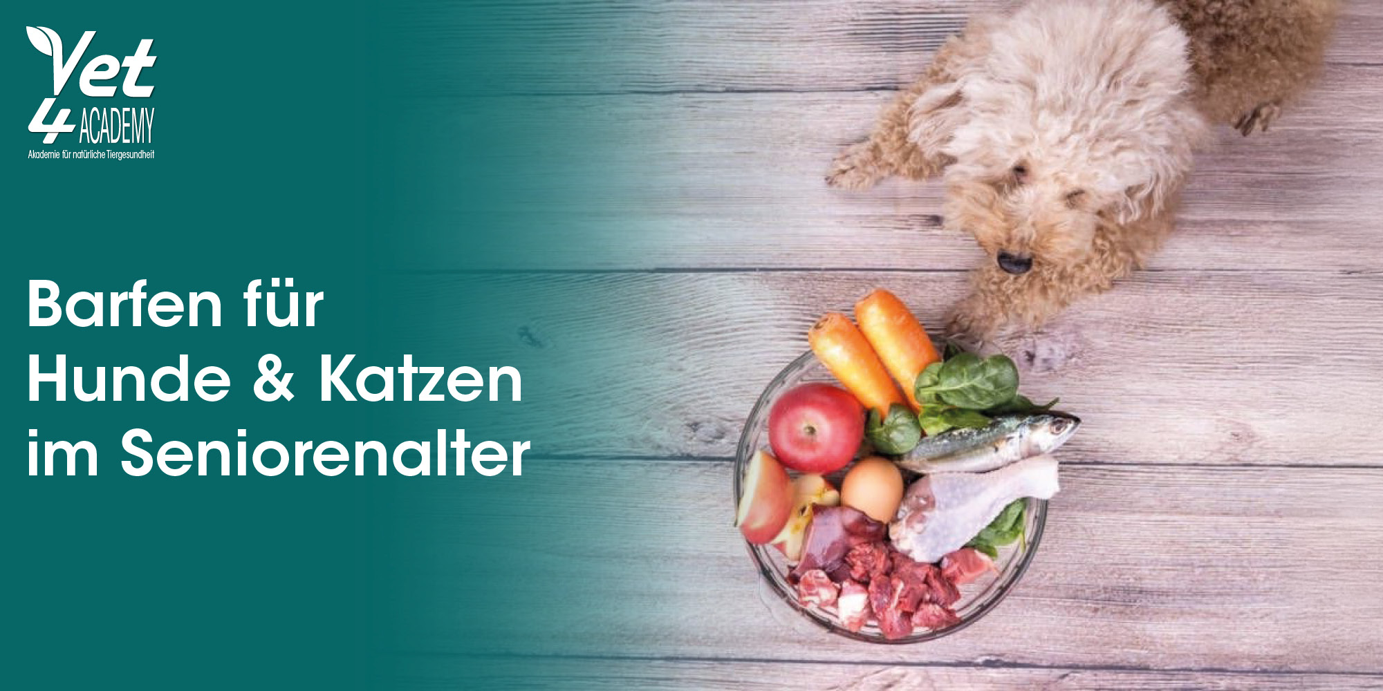 Hund, Futter, Korbvolumen, Gemüse, Snack