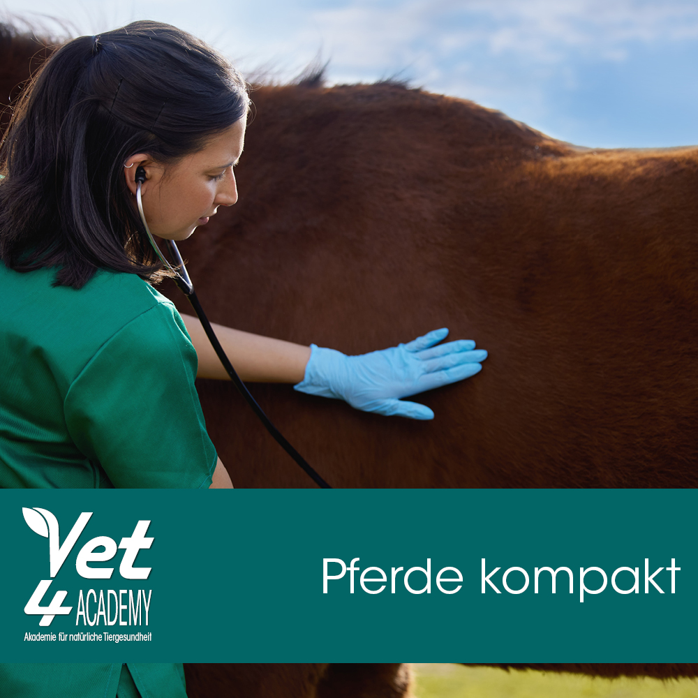 Doktor, Person, Erwachsener, Weiblich, Frau